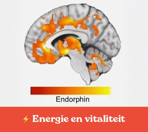 Meer energie voor de rest van je dag